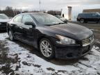 Lot #3037086437 2010 NISSAN MAXIMA S