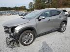 Lot #3023824880 2023 LEXUS NX 350H