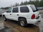 Lot #3027259321 1999 DODGE DURANGO