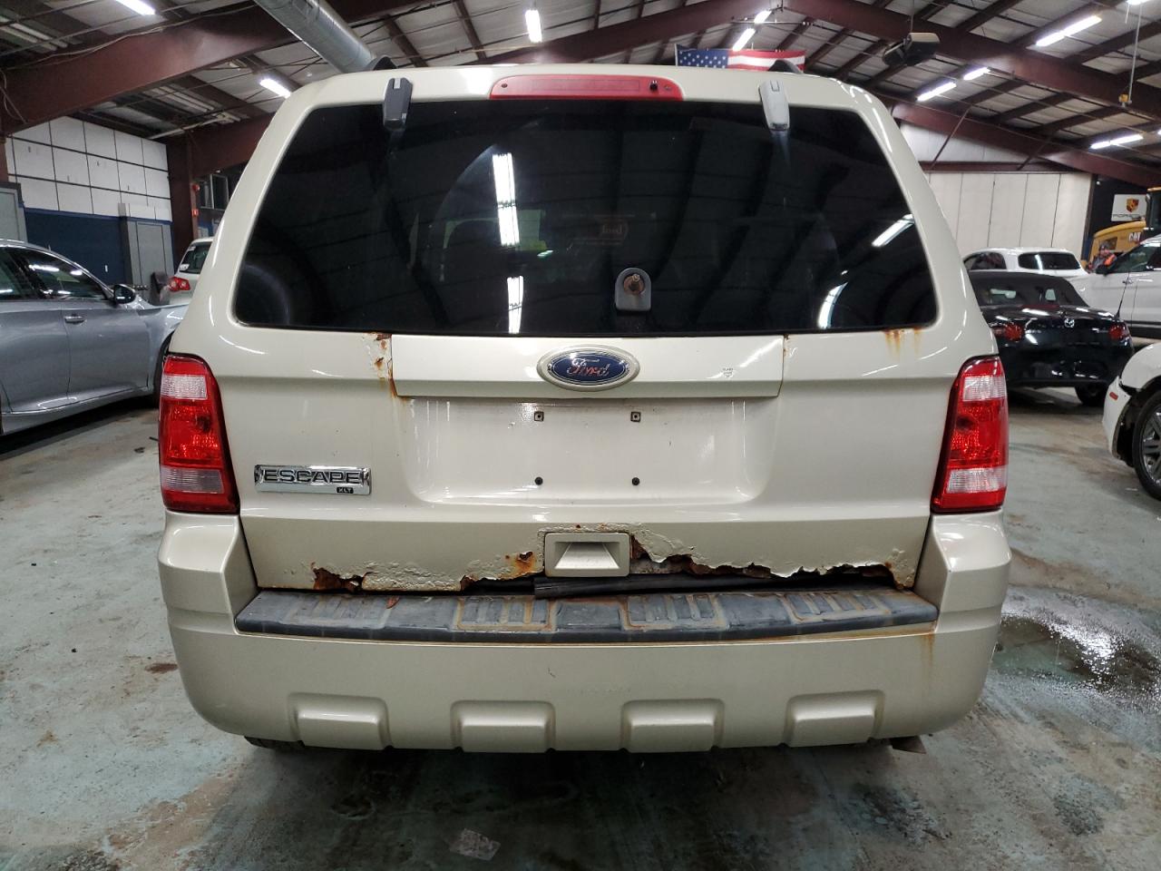 Lot #3028654280 2010 FORD ESCAPE XLT