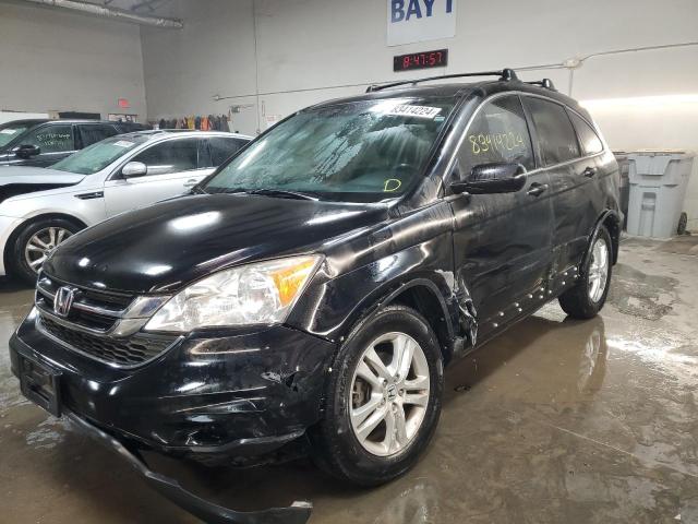 2010 HONDA CR-V EXL #3026800990