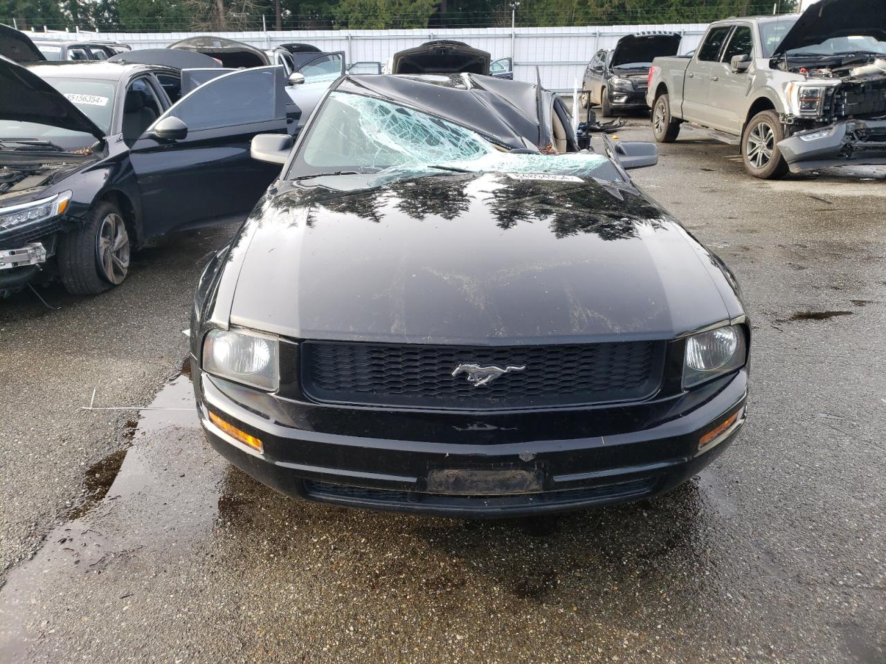 Lot #3045593672 2005 FORD MUSTANG