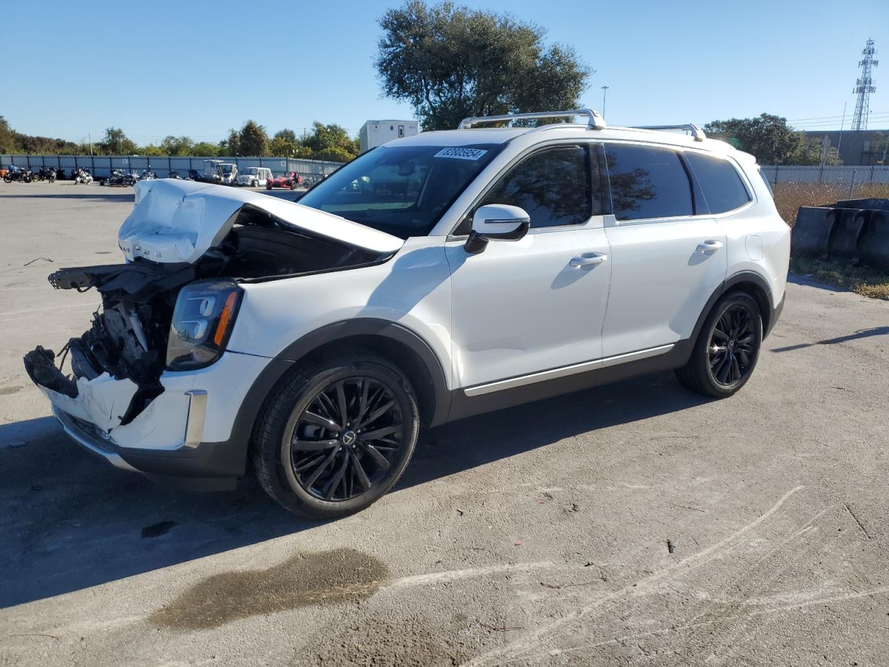 Lot #3027036793 2020 KIA TELLURIDE