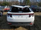 Lot #3024613576 2024 HYUNDAI TUCSON LIM