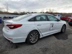 Lot #3024986162 2015 HYUNDAI SONATA SPO