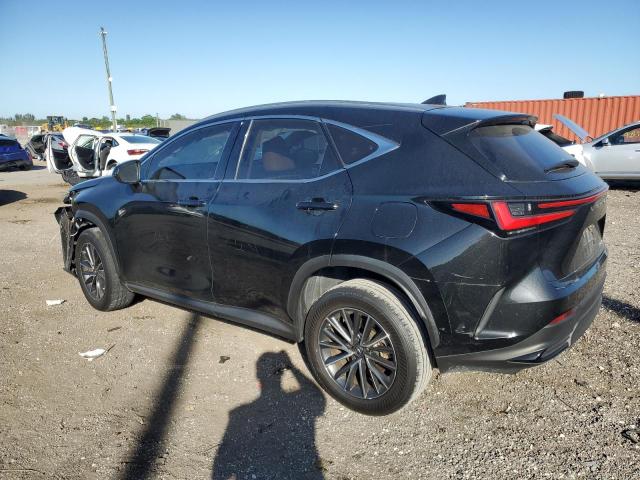 2022 LEXUS NX 250 JTJADCAZ0N2001908