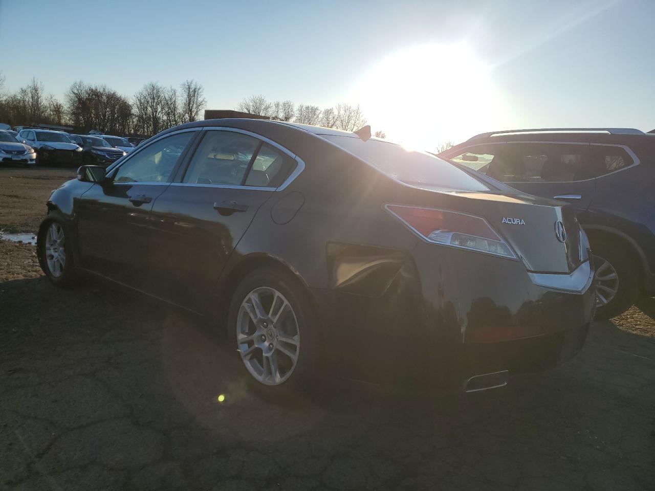 Lot #3034279191 2010 ACURA TL