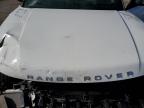 Lot #3023893255 2020 LAND ROVER RANGE ROVE