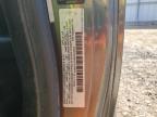 Lot #3023783890 2005 VOLKSWAGEN NEW BEETLE