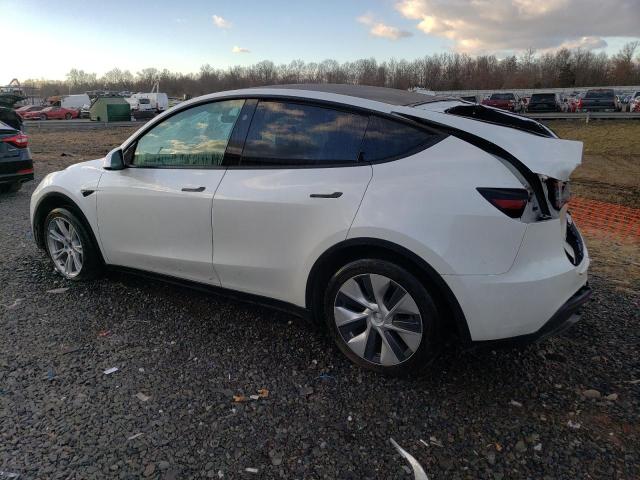 2023 TESLA MODEL Y - 7SAYGDEE5PF823323