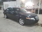 Lot #3022773396 2006 ACURA 3.2TL