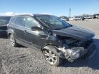 Lot #3030546466 2014 FORD ESCAPE TIT