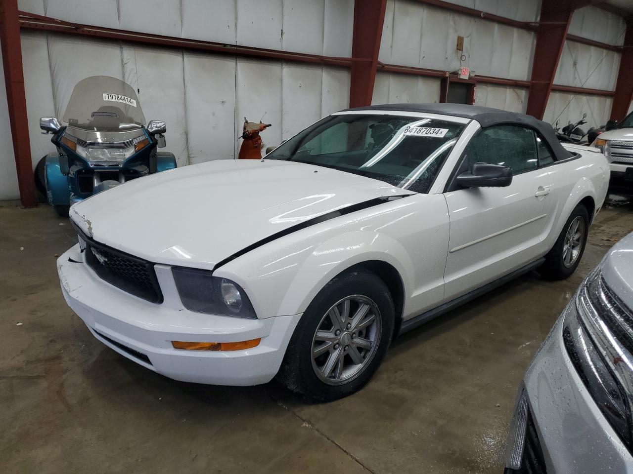 Lot #3024676691 2007 FORD MUSTANG