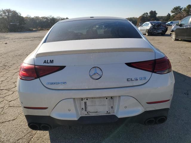2019 MERCEDES-BENZ CLS AMG 53 - WDD2J6BB3KA042804