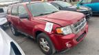 Lot #3024895406 2010 FORD ESCAPE XLT