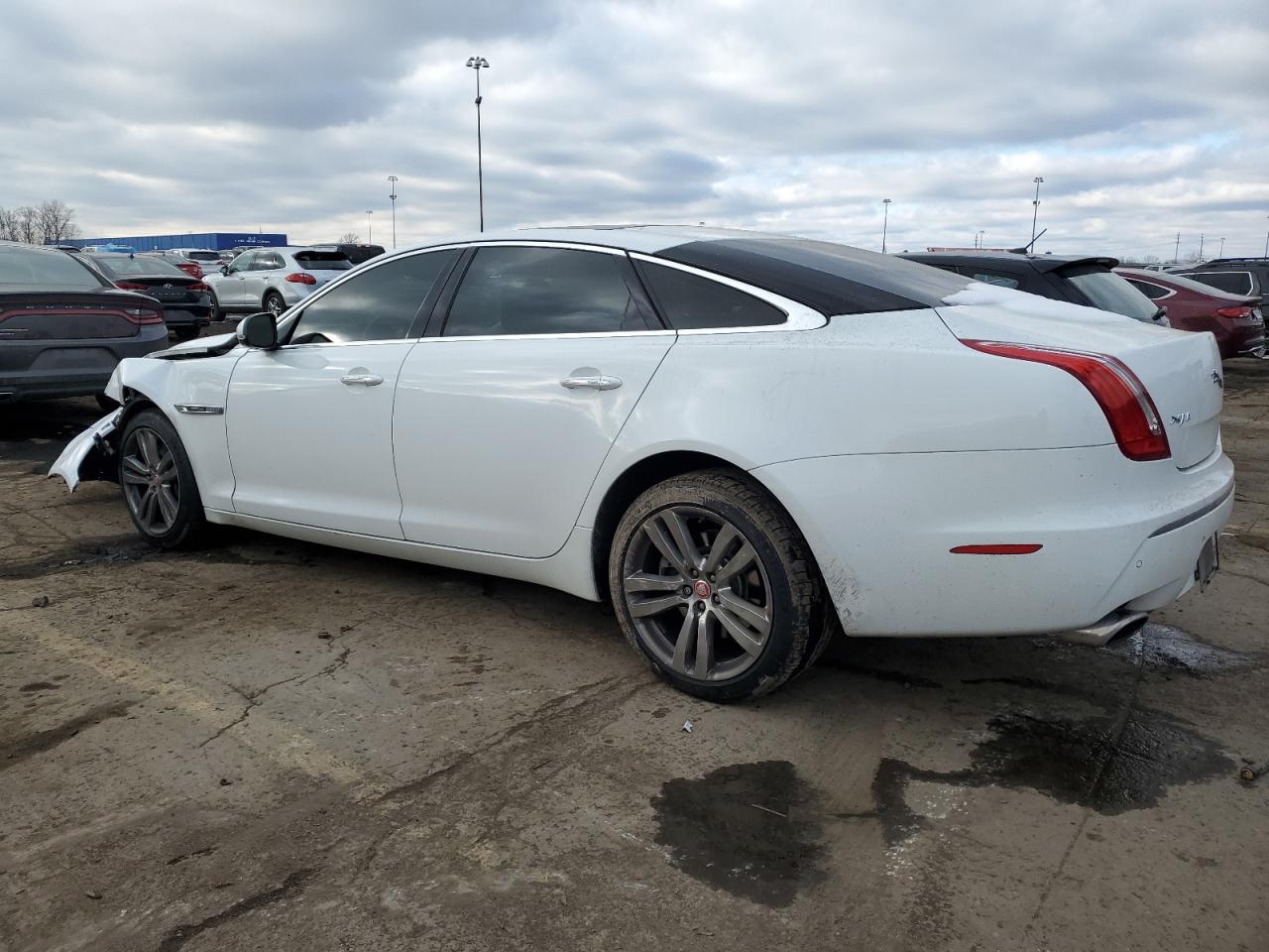 Lot #3036980729 2012 JAGUAR XJL