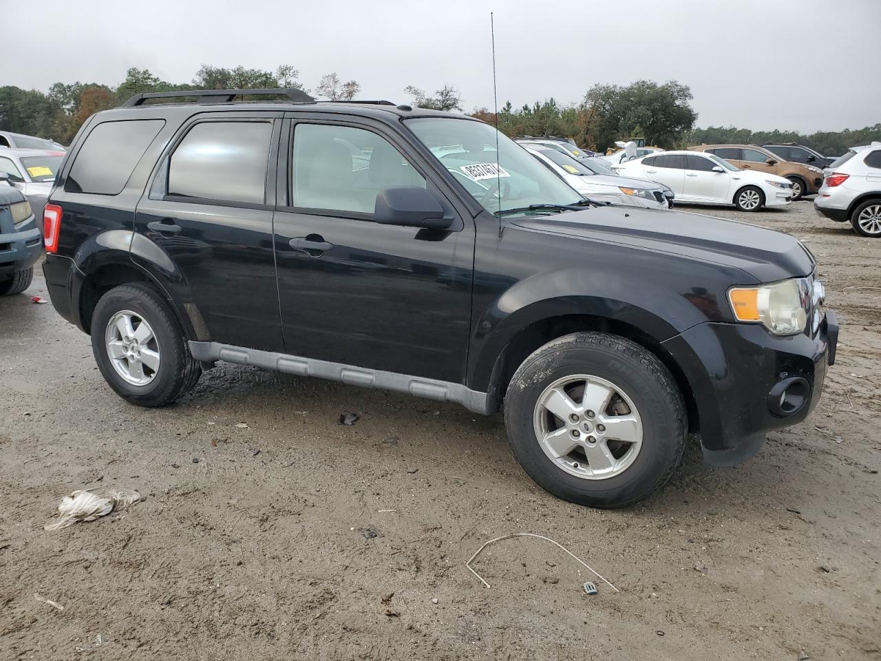 Lot #3027126789 2010 FORD ESCAPE XLT