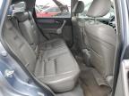 Lot #3030424460 2007 HONDA CR-V EXL