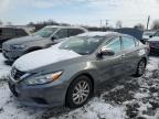 2017 NISSAN ALTIMA 2.5 - 1N4AL3AP0HN331612