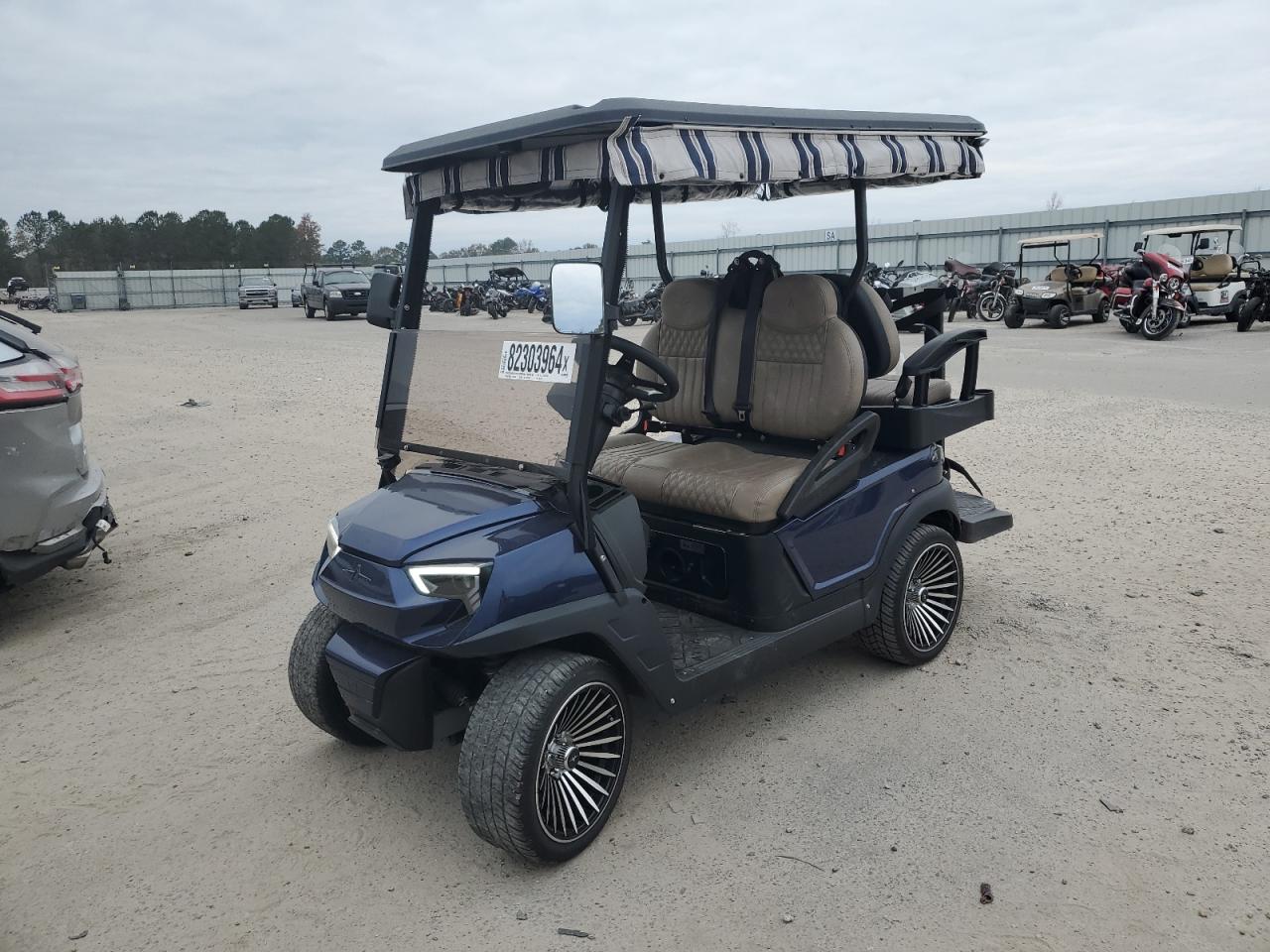 Lot #3037074726 2024 OTHER GOLF CART