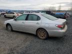 Lot #3023934214 2004 LEXUS ES 330