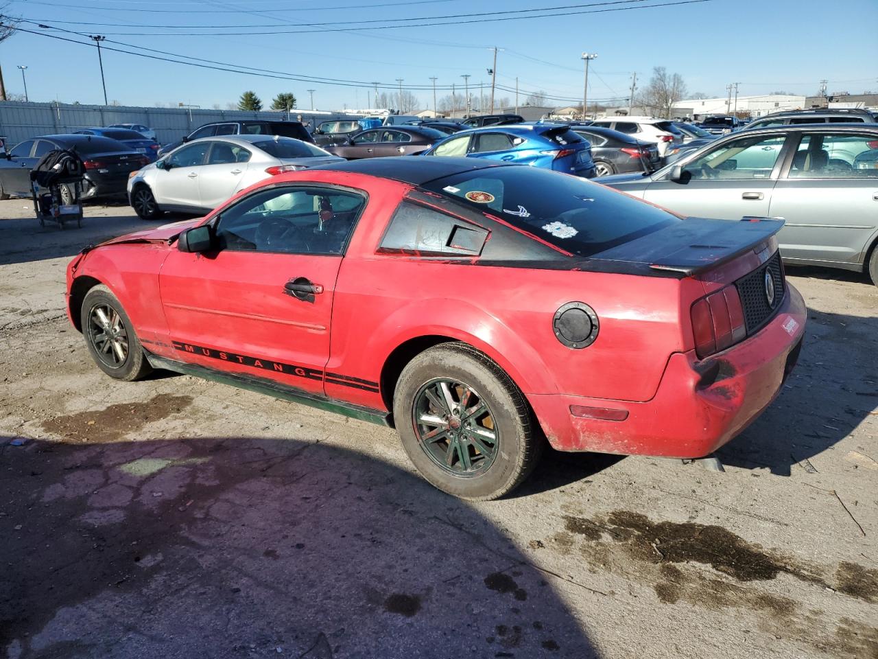 Lot #3030491471 2008 FORD MUSTANG