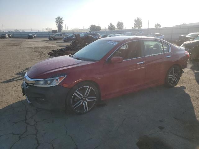 HONDA ACCORD SPO