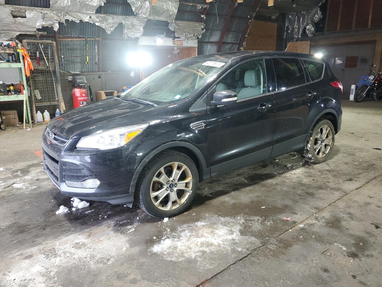 Lot #3028341815 2013 FORD ESCAPE SEL