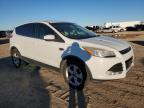 Lot #3023774898 2014 FORD ESCAPE SE