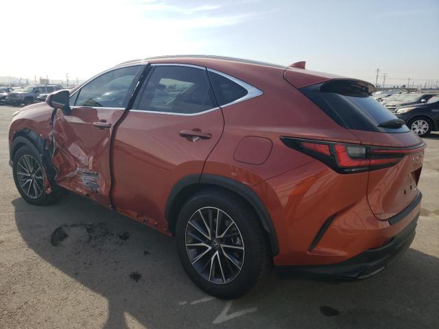 2022 LEXUS NX 250 JTJADCAZ7N2002974