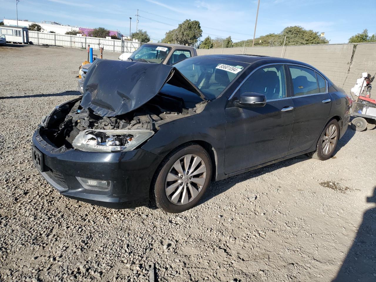 Lot #3033272810 2014 HONDA ACCORD EXL