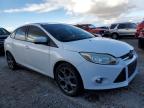 Lot #3024302049 2013 FORD FOCUS SE