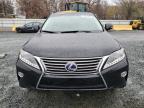 Lot #3024742220 2013 LEXUS RX 450H