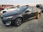 Lot #3027118786 2013 KIA OPTIMA HYB