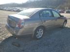 Lot #3024651627 2003 NISSAN ALTIMA BAS