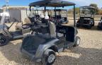 Lot #3024570691 2019 GOLF CART