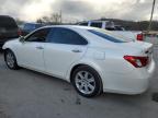 Lot #3025089177 2008 LEXUS ES 350