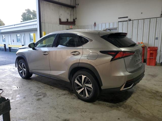 VIN JTJGJRDZ4M5015325 2021 LEXUS NX no.2