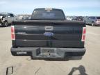 Lot #3024953430 2009 FORD F150