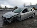 2024 TOYOTA CAMRY LE - 4T1C11BKXRU116922