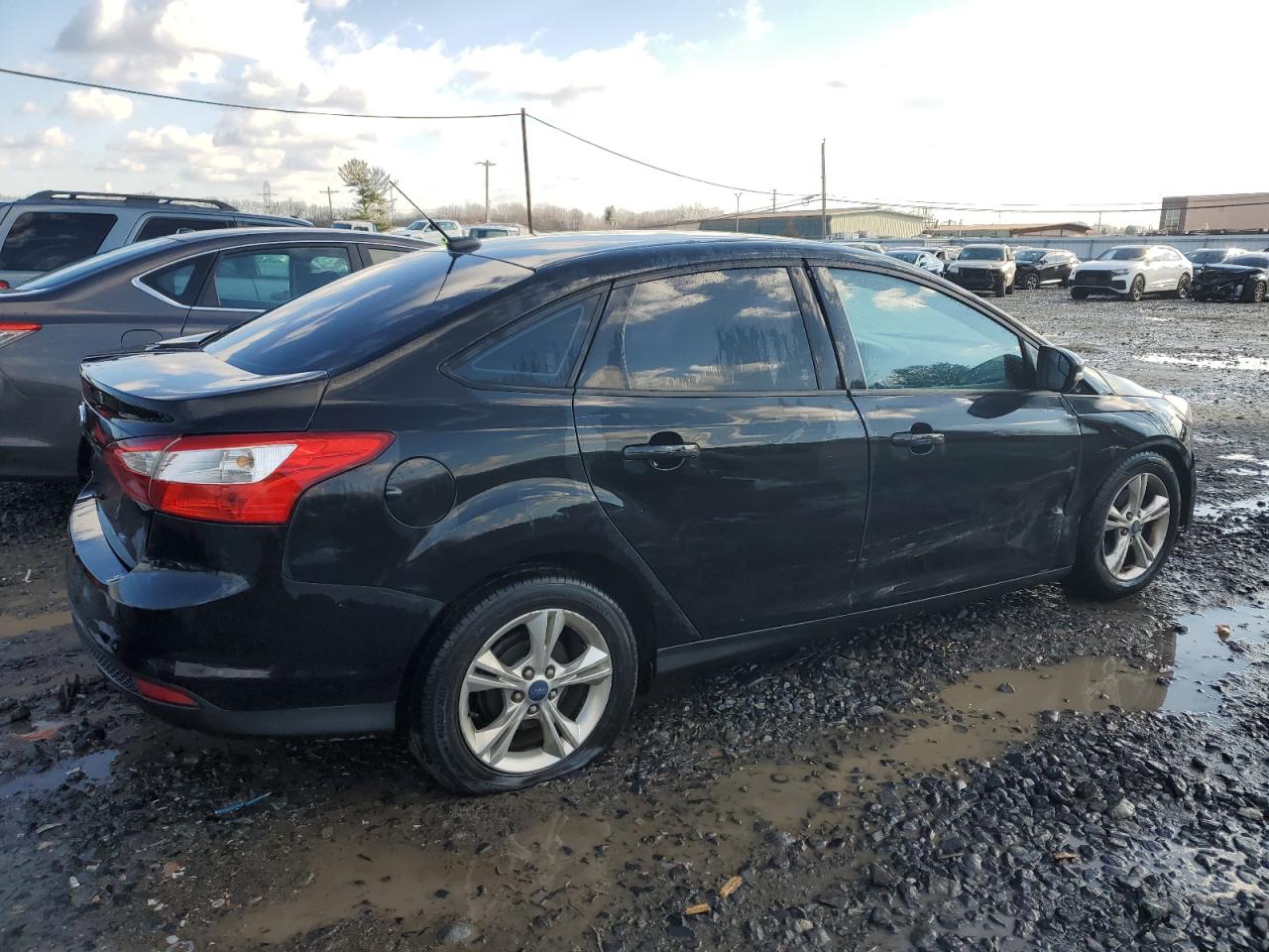 Lot #3040808776 2014 FORD FOCUS SE