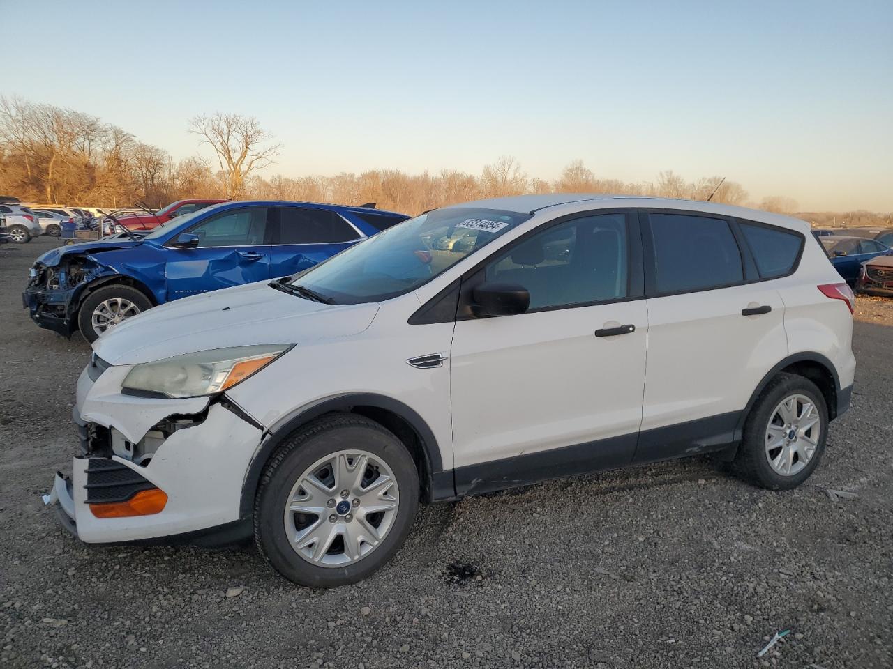 Lot #3027043781 2013 FORD ESCAPE S