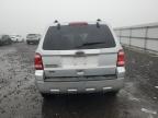 Lot #3030546508 2011 FORD ESCAPE XLT