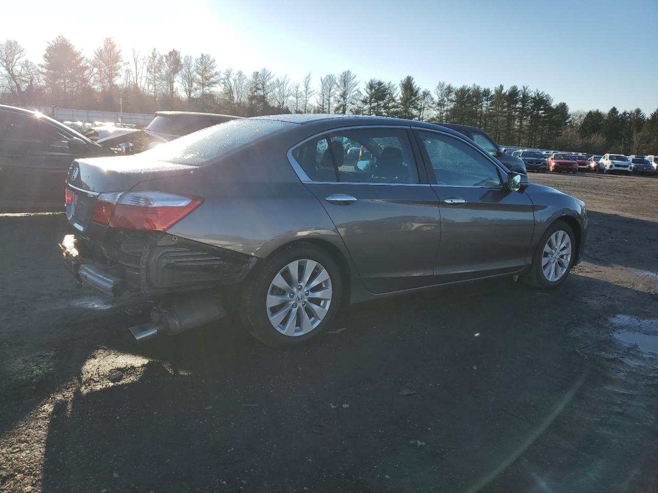 Lot #3029648089 2014 HONDA ACCORD EX