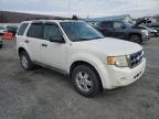 Lot #3023421289 2012 FORD ESCAPE XLT