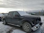 Lot #3024622618 2013 FORD F150 SUPER