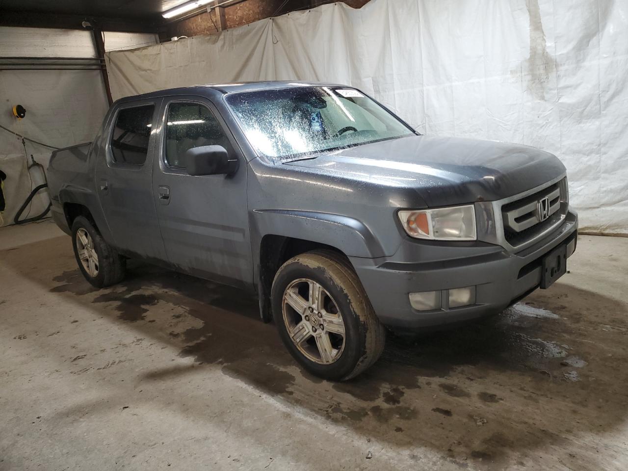 Lot #3024675713 2010 HONDA RIDGELINE