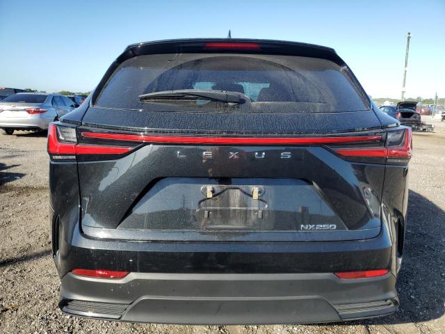 2022 LEXUS NX 250 JTJADCAZ0N2001908