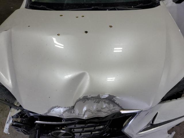 2020 LEXUS NX 300 JTJDARDZ0L2226461
