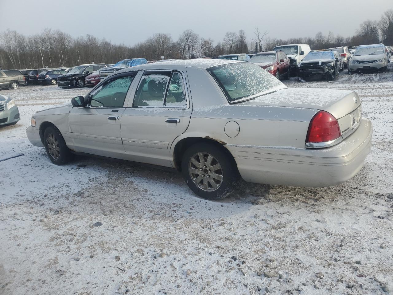 Lot #3037767269 2006 FORD CROWN VICT